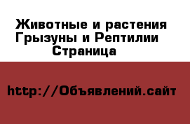 Животные и растения Грызуны и Рептилии - Страница 15 